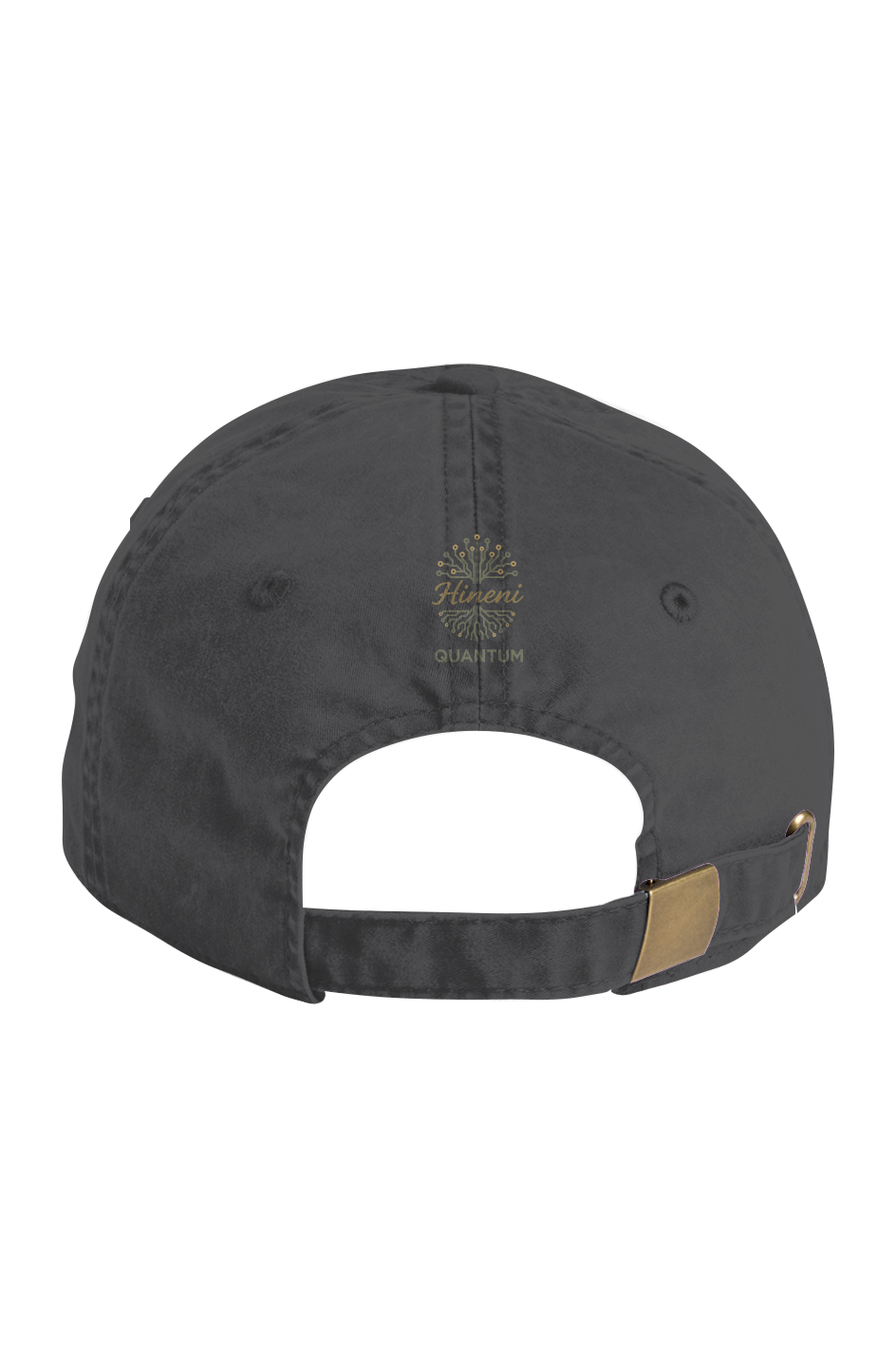 Hineni Quantum Faded Cap
