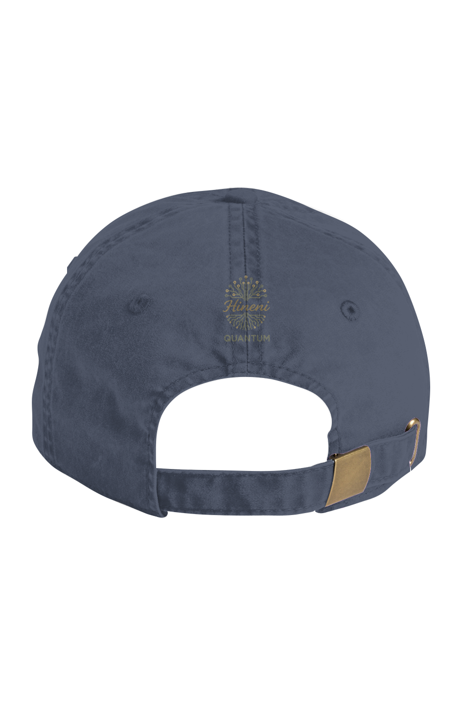 Hineni Quantum Faded Cap