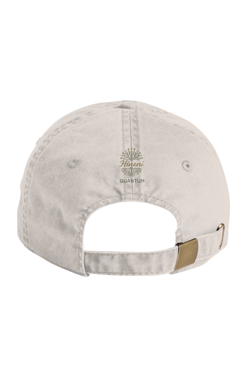 Hineni Quantum Faded Cap