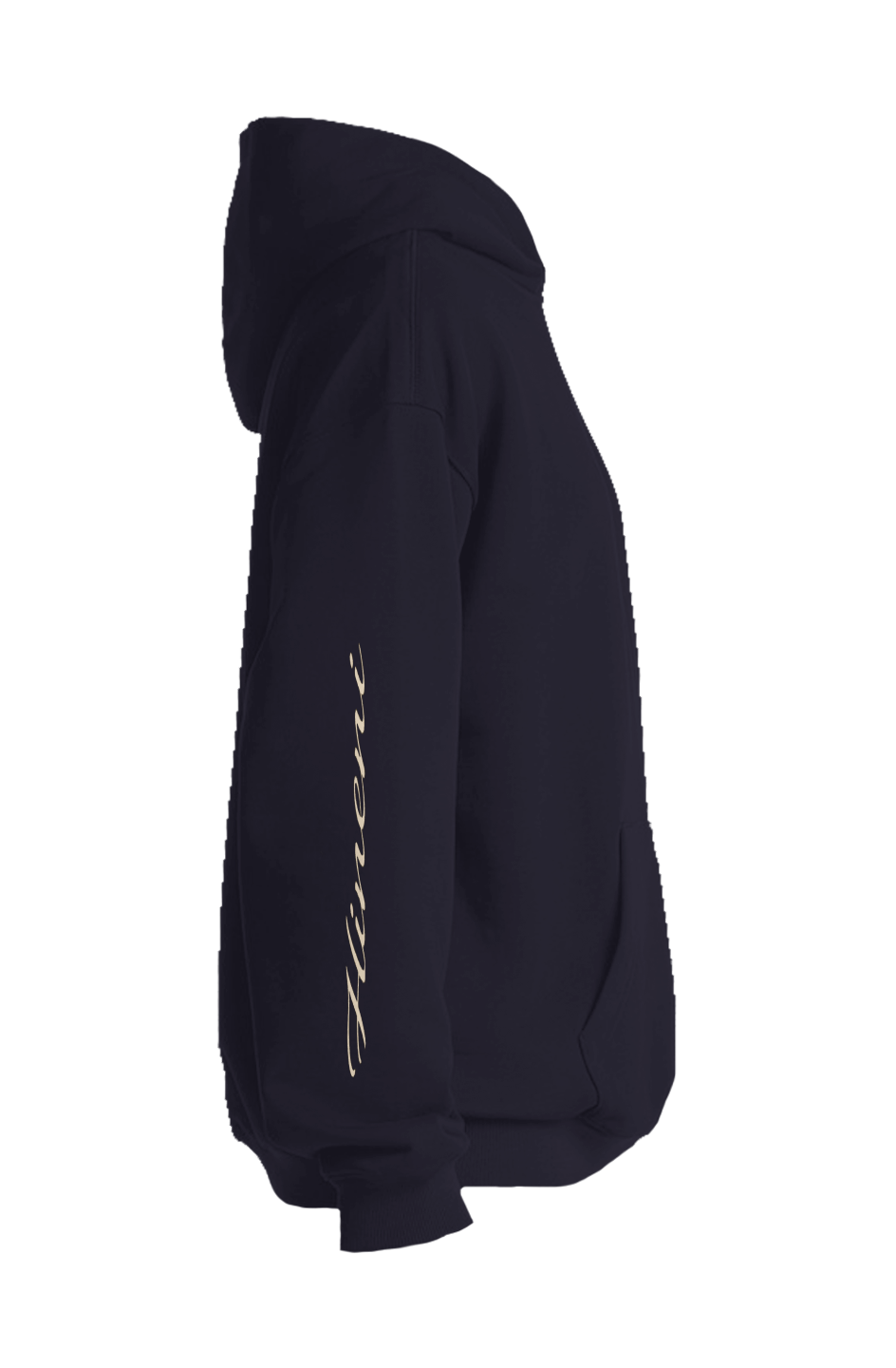 DT3019–10D .Hoodie- Phygital Edition 